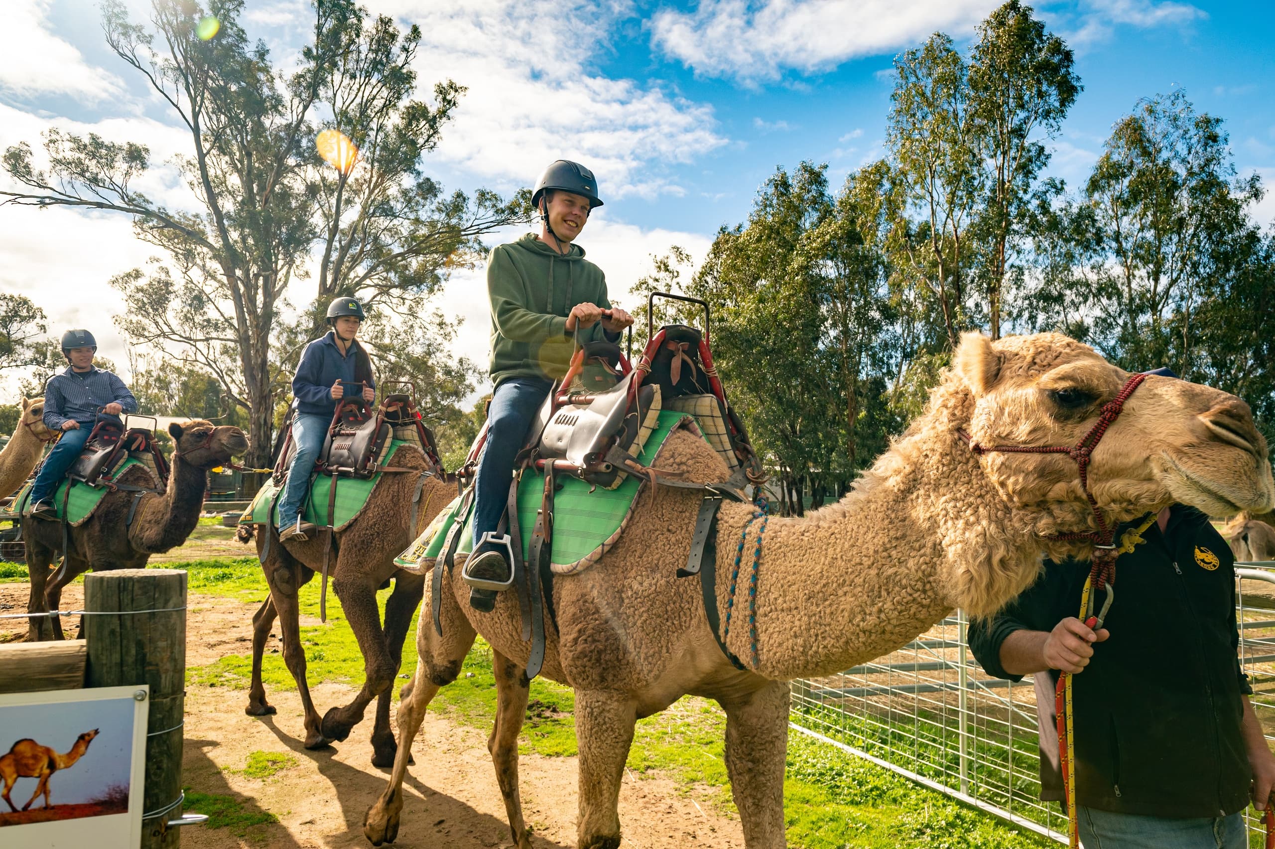 Land Adventures at Billabong Ranch: Camel Riding Experience