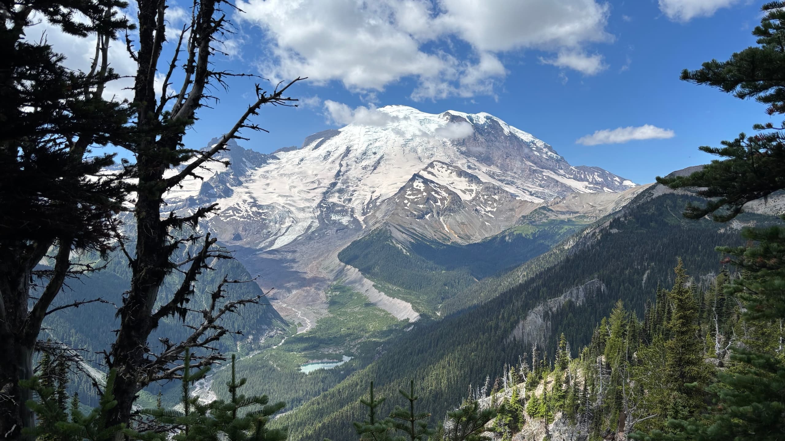 Private Mt. Rainier Day Tour from Seattle: Custom Small-Group Guide to Paradise & Sunrise photo 1