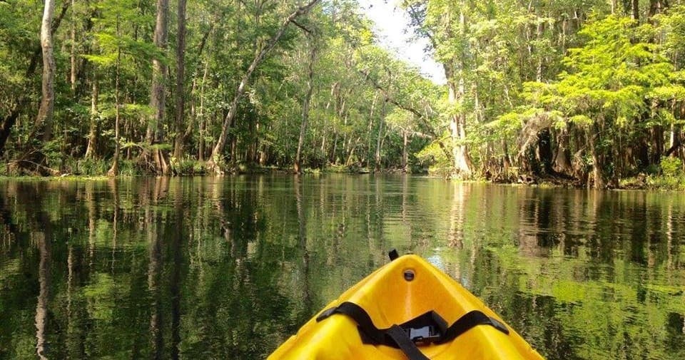 Moonlit Paddle on Ichetucknee River by Ichetucknee Springs