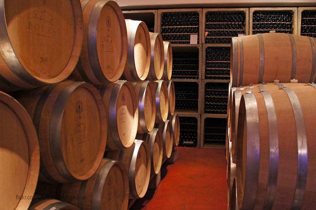 Urban & Vineyard Tour with Montevideo Adventures: Discover Uruguay’s Charm