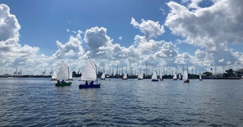 Argonauts Half-Day Summer Sail Camp on Tampa Bay - Davis Island photo 3