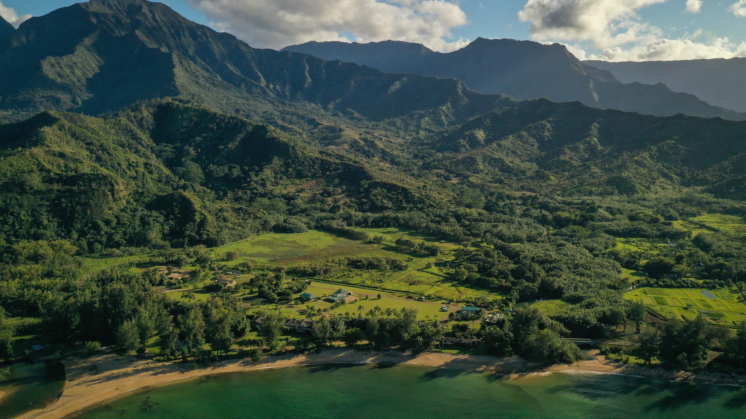 Aerial view of lush coastal valley and mountains at shoreline