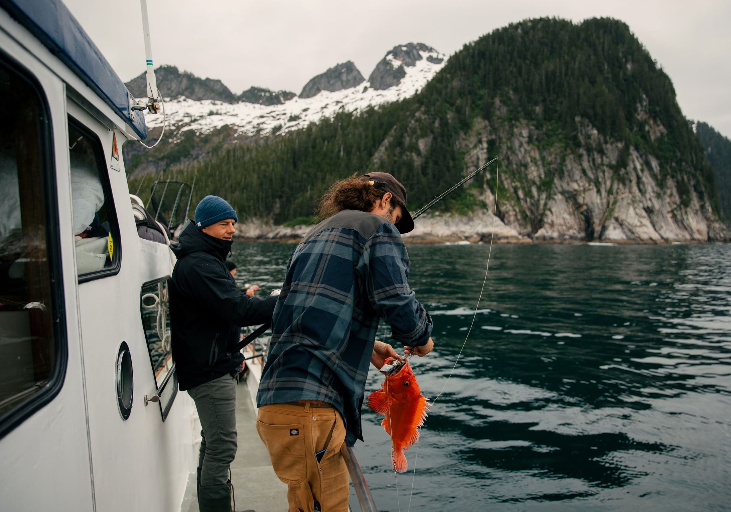 Alaska Coastal Explorer’s Combo Charter in Seward