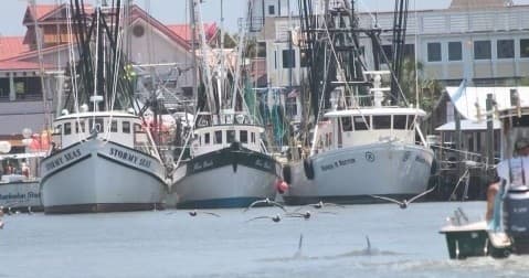Master Your Powerboat: Private On-Water Lessons on Johns Island Estuary