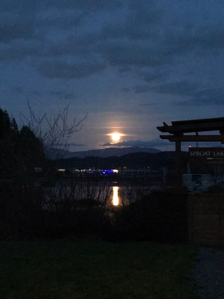 Yule Frost & Sauna Fire: Port Alberni Solstice Sauna Experience photo 3