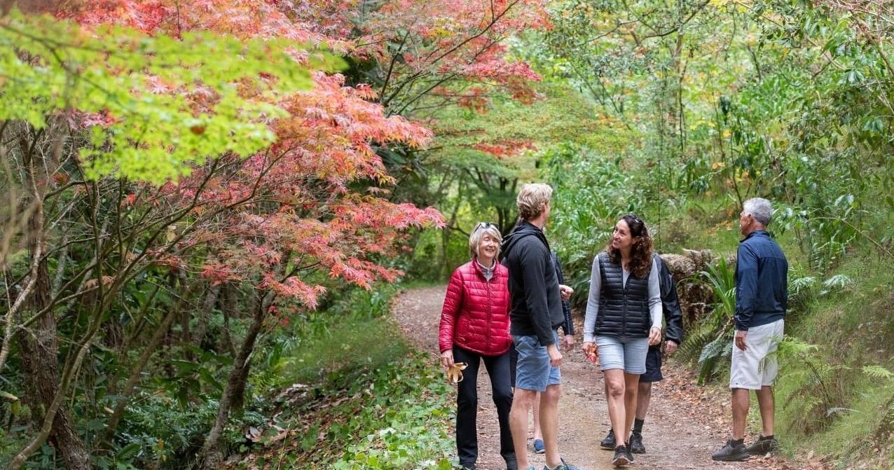 Land Adventures in Gisborne: Eastwoodhill and Vineyard Tour