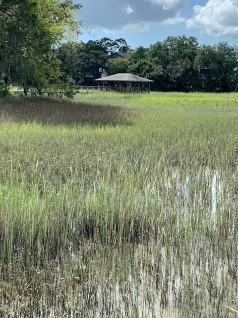 Outdoor Education & Family Fun at Coastal Discovery Museum Hilton Head