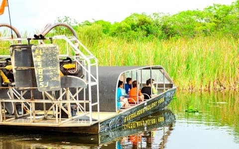 Airboat cruising through green marshes on Everglades wildlife tour