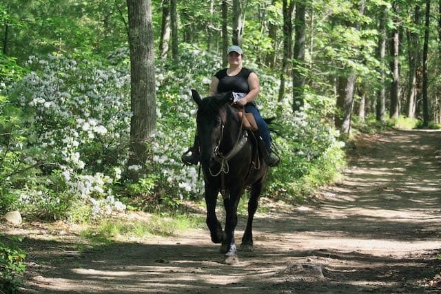 Land Adventures at Cornerstone Ranch: Trail Rides Near [Location]
