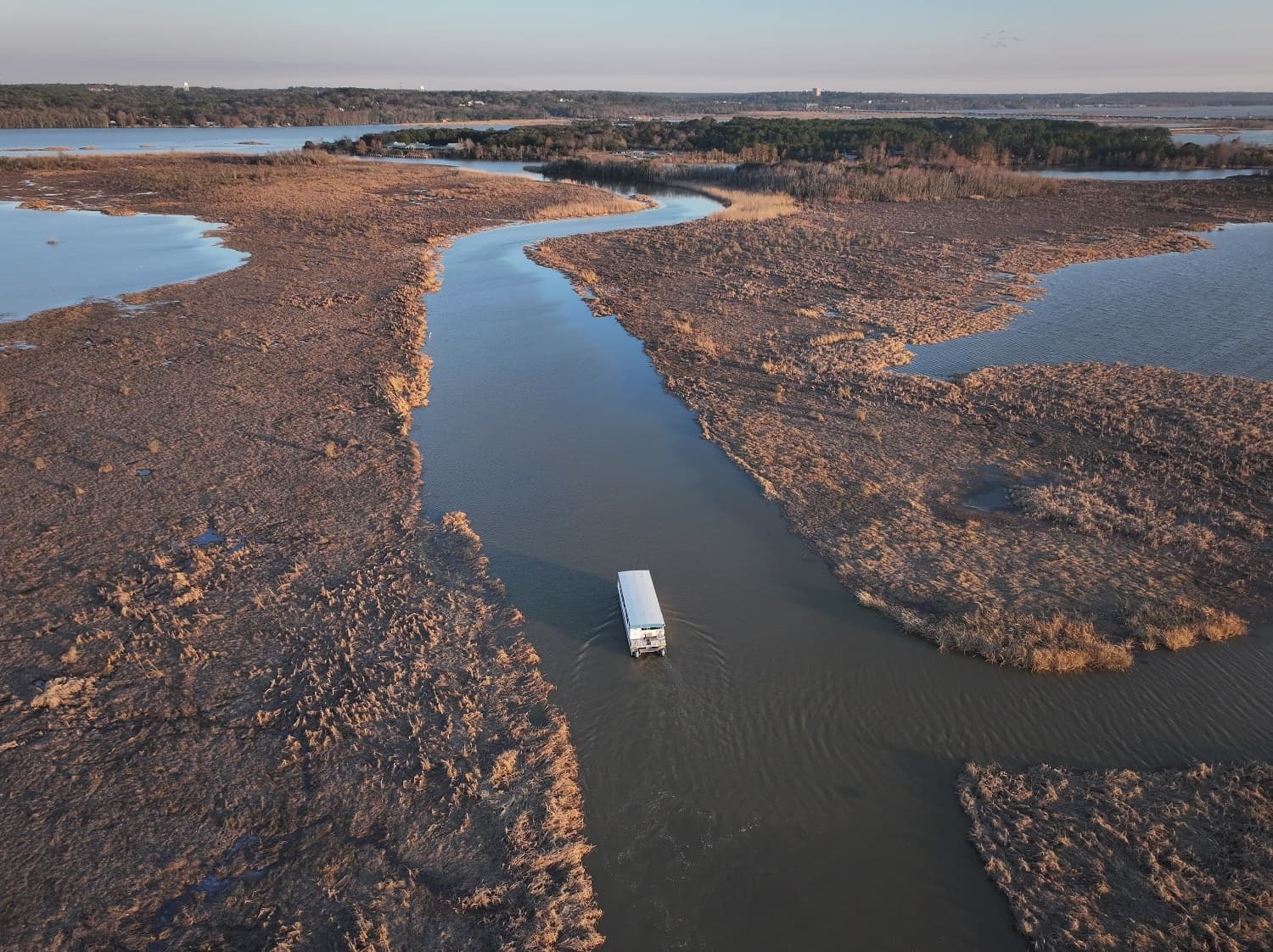 Back Bay Cruise: Hour-Long Wildlife Tour of the Mobile-Tensaw Delta
