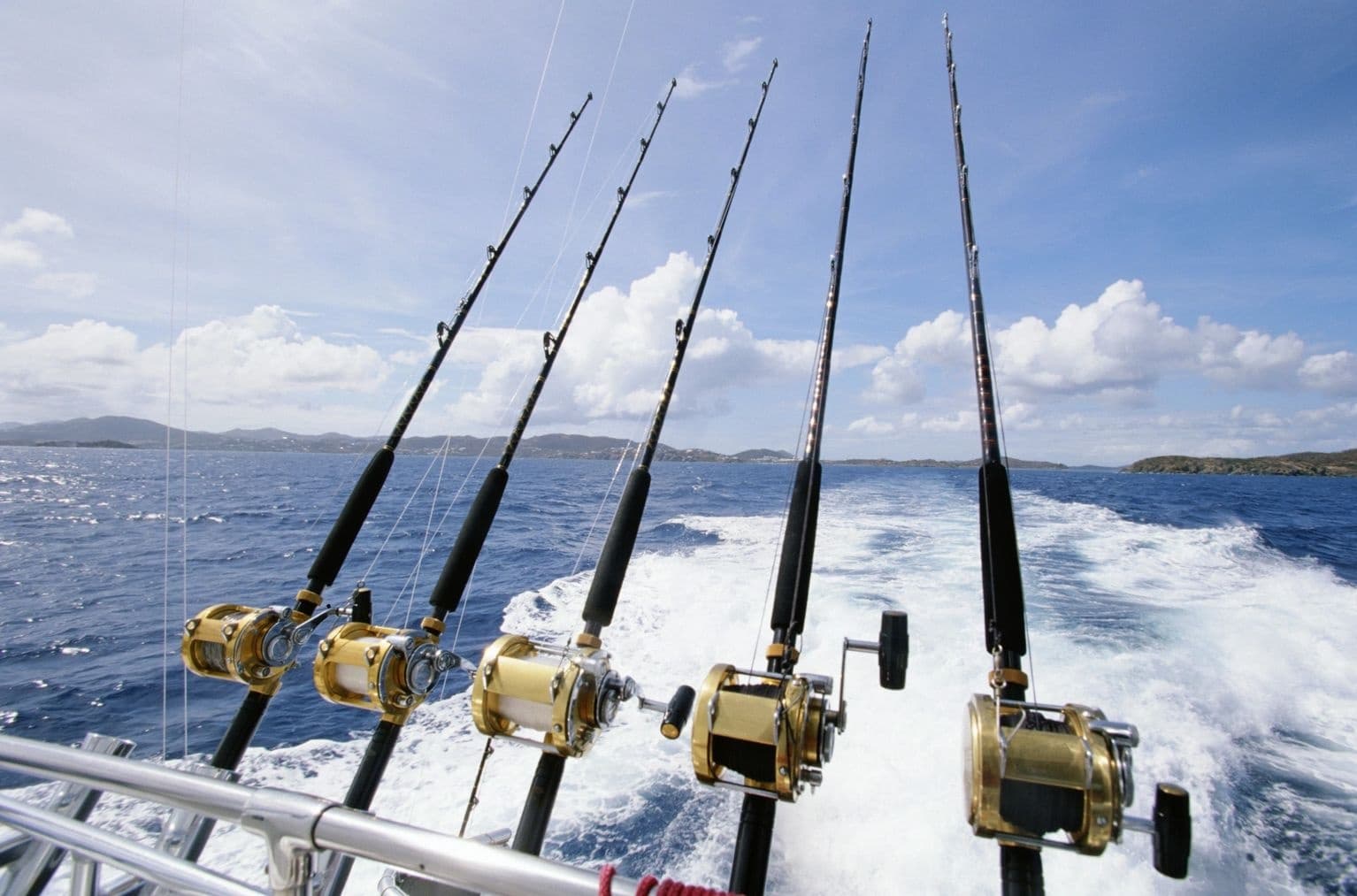 Private Sportfishing Charters with Gavin Glen Fishing in Tenerife
