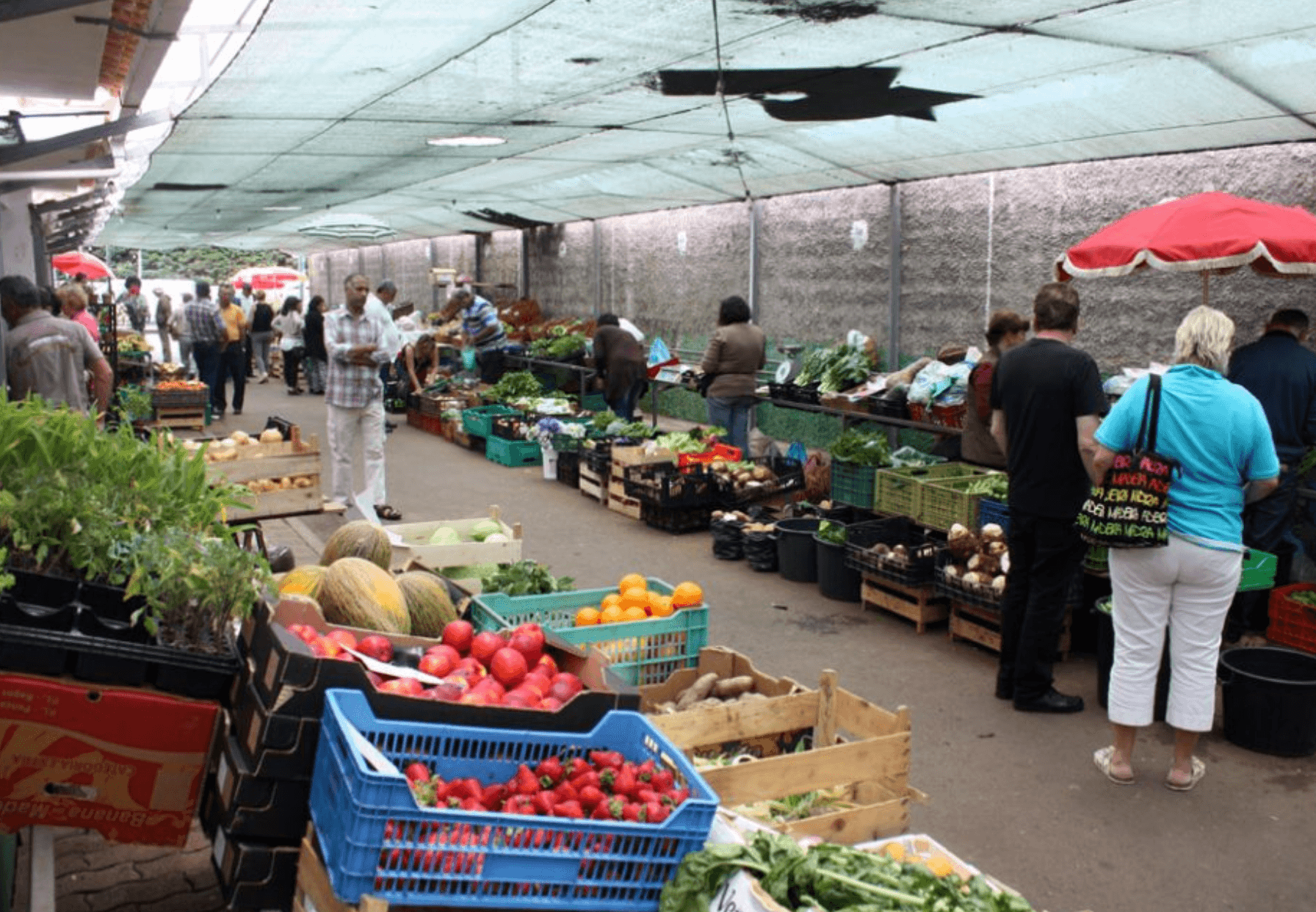 Land Adventures: Levada and Market Tour with MB Tours