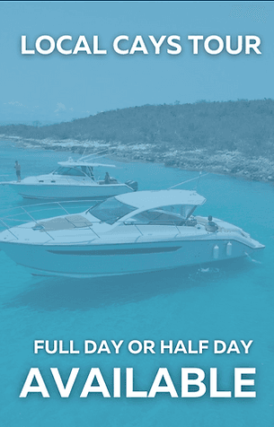 Full-day or half-day boat excursion to Puerto Rican cays and beaches