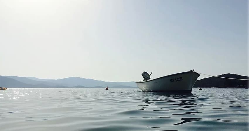 Water Activities & Lake of Bays Marina: Premier Fishing Experience