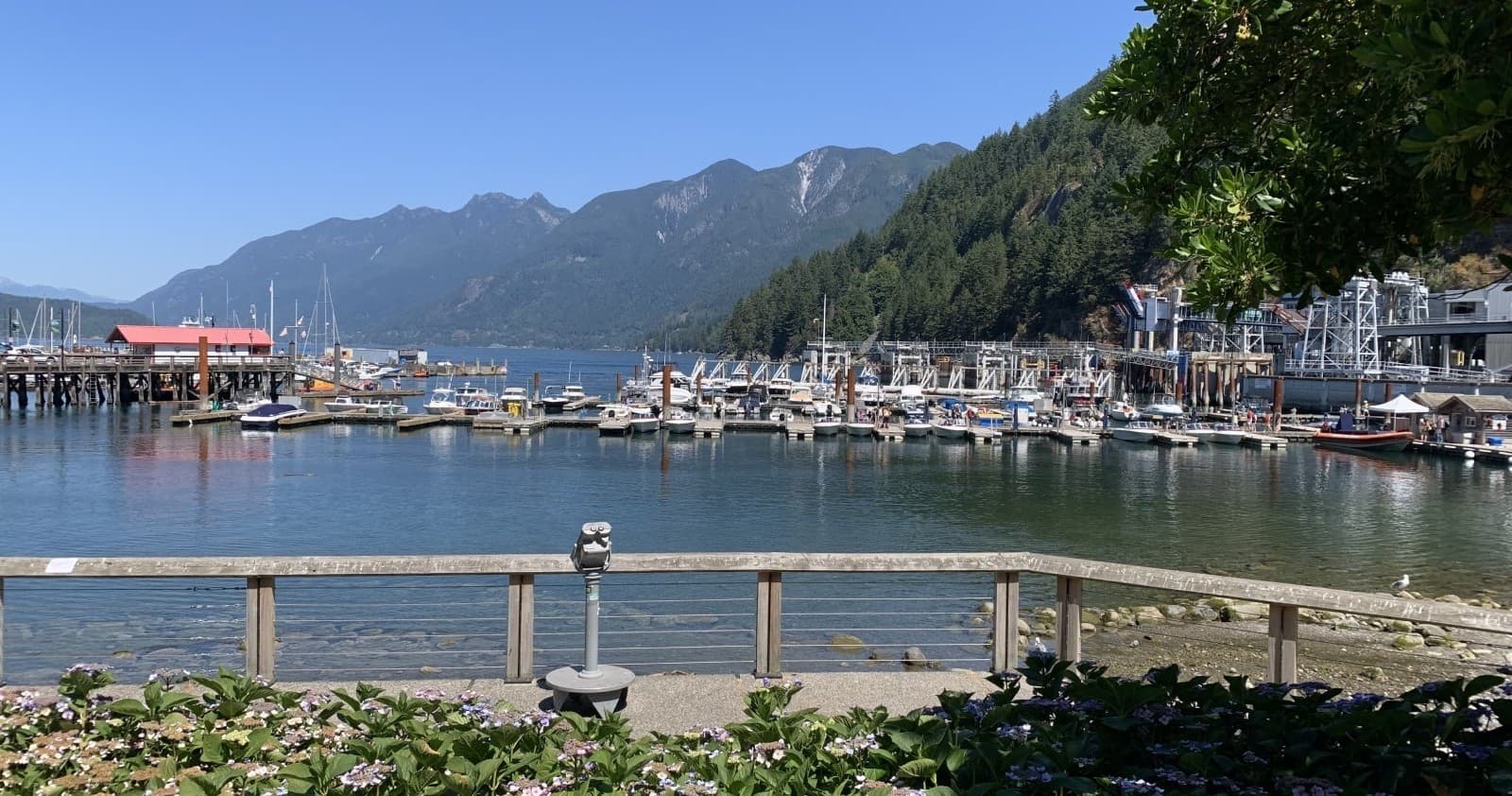 Road Bike Adventure from Vancouver to Horseshoe Bay with Breakaway Adventures