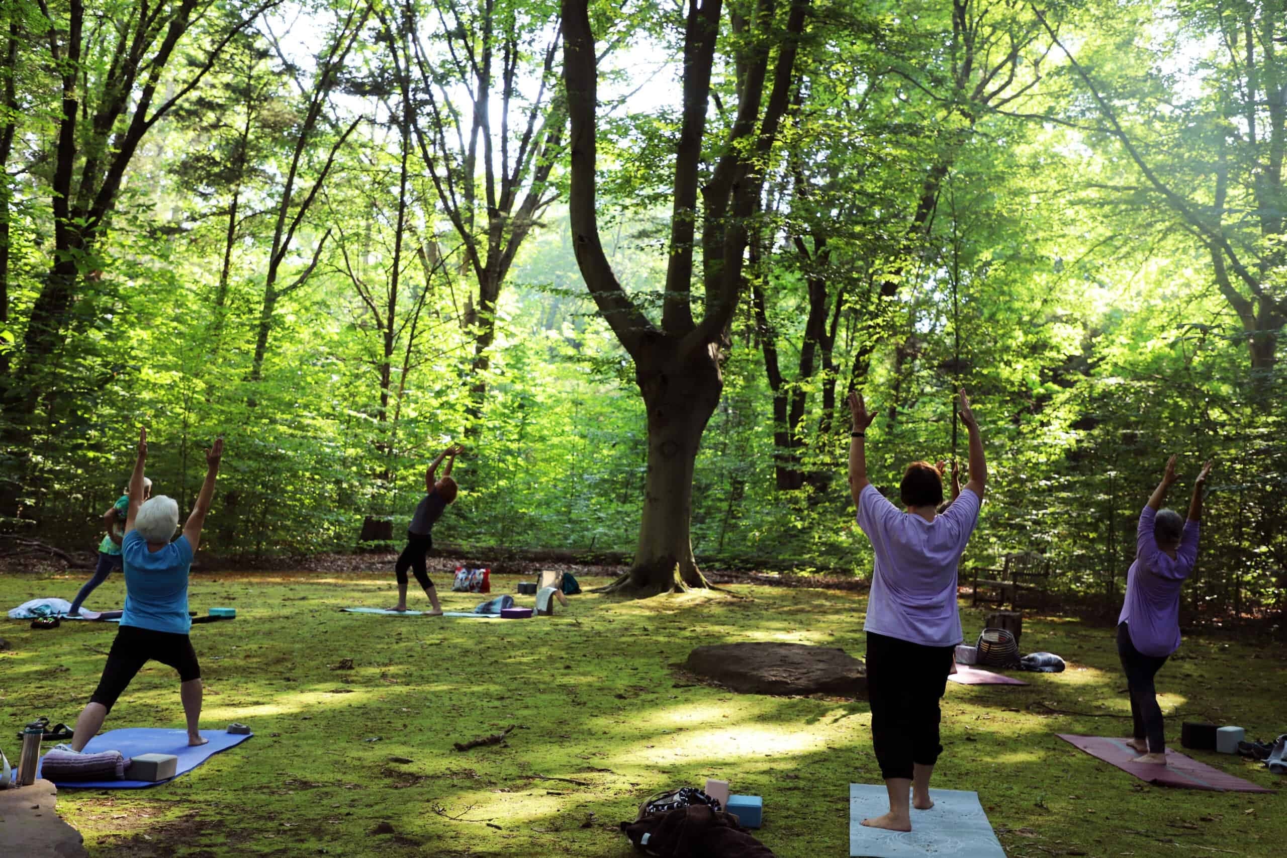 Moss Garden Mornings: Gentle "Wild" Yoga at Bowman's Hill Wildflower Preserve