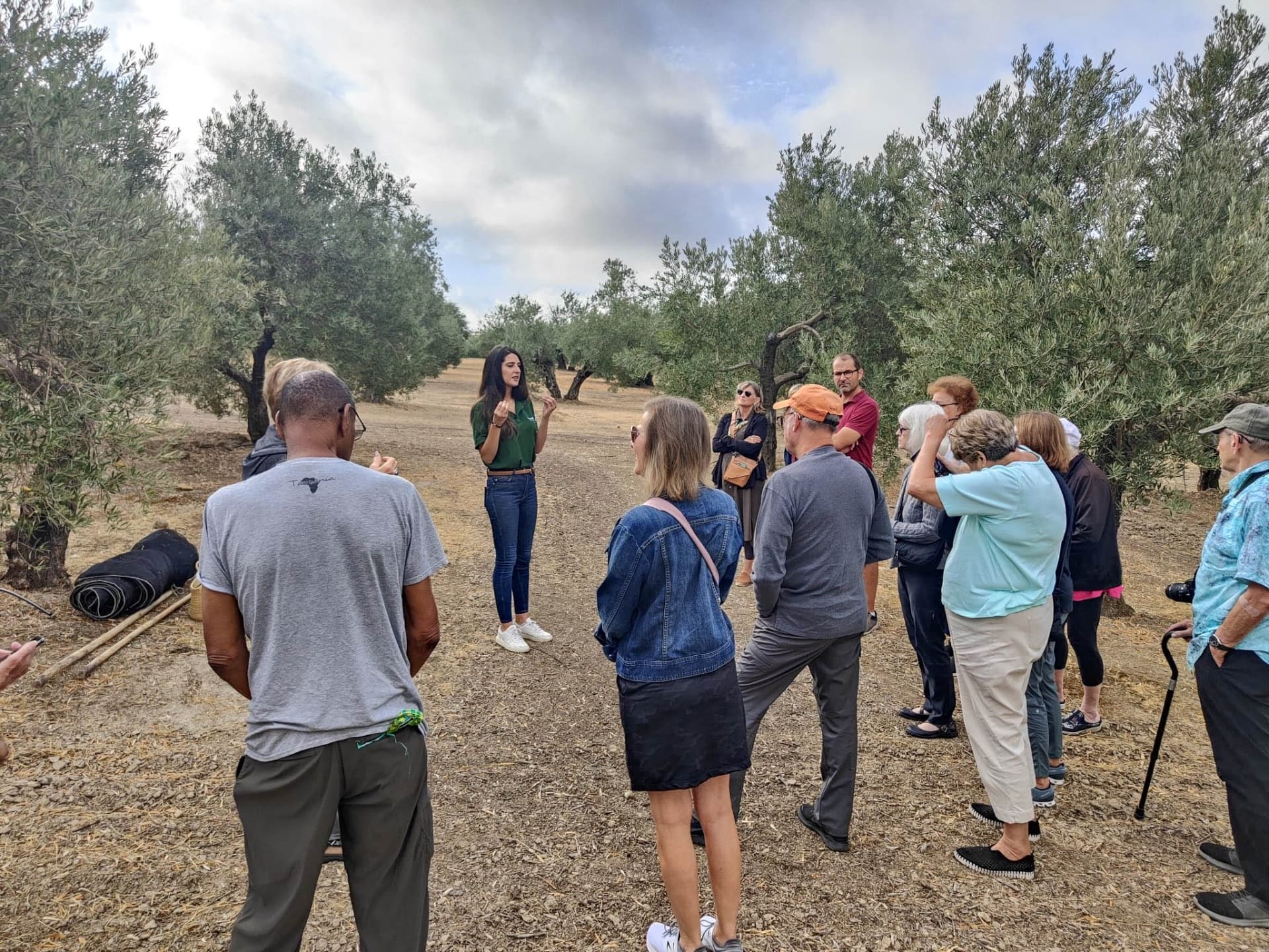 From Grove to Glass: Private Olive Oil Mill & Tasting in Begíjar, Jaén photo 1