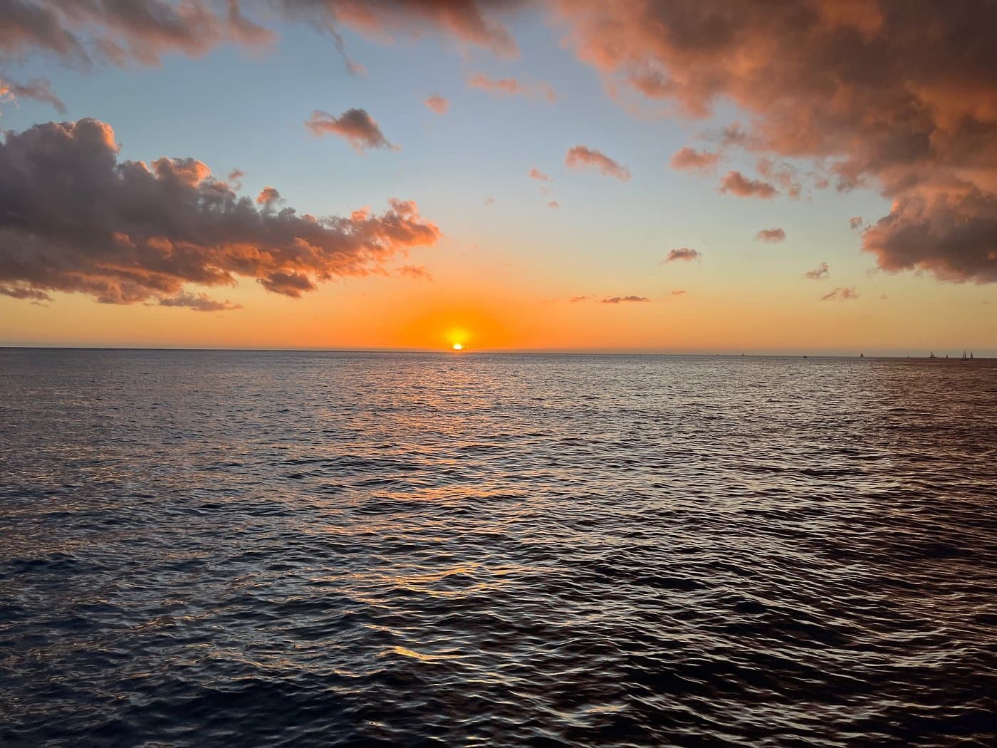 Waikiki Sunset Dinner Cruise: Magical Sunset and Fireworks Dinner Cruise in Honolulu photo 4