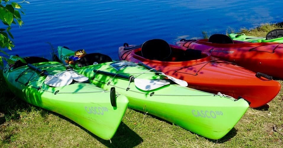 Colorful kayaks lined on grassy shoreline ready for lake paddling