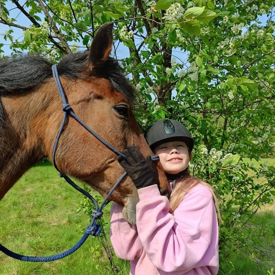 Horseback Riding in Lapland with Arctic nature trips Ltd Oy