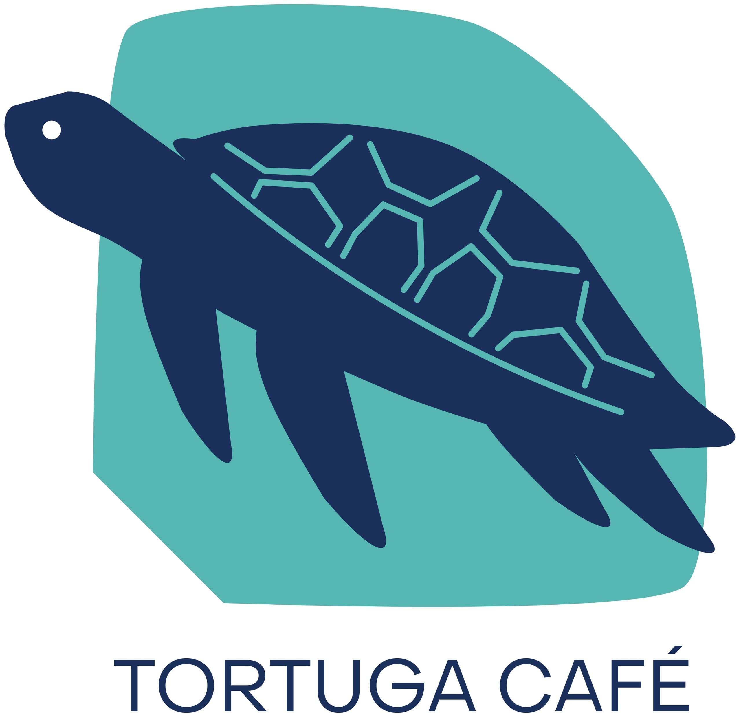 Tortuga Café Camp Lunches: Easy Online Ordering in Juno Beach