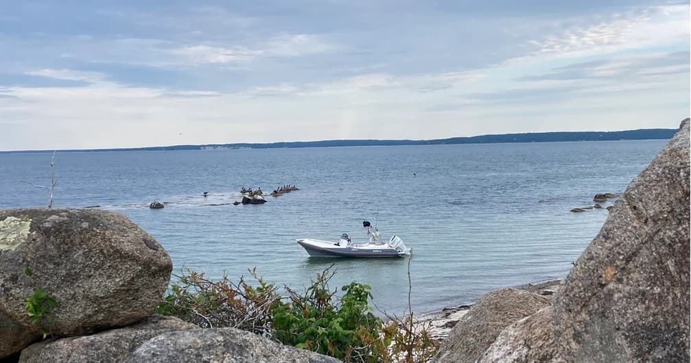 Water Activities & Island Adventures with Woods Hole Island Tours