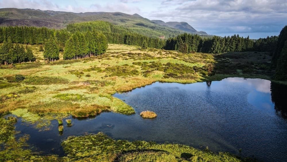 Full-Day Mar & Terra Adventure with Azores Reservations Tours