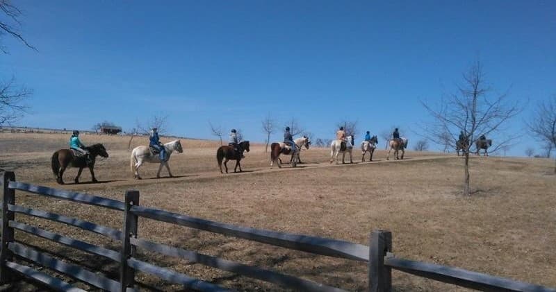 Wide panoramic horseback ride across open field under blue sky