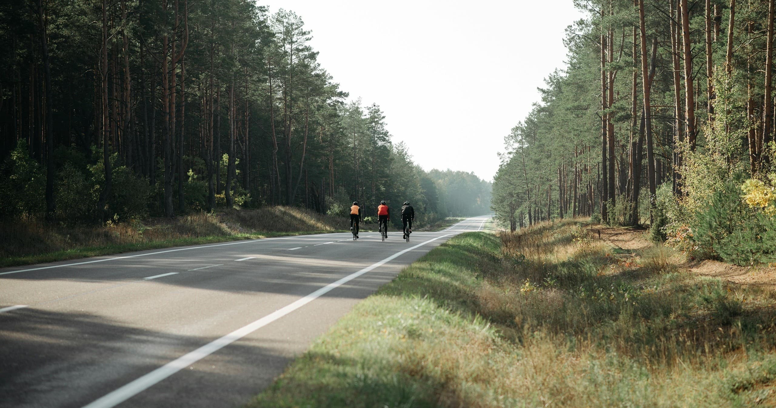 Veltrusy Castle Park Bike Tours: 9km Guided Ride Through Central Bohemia photo 2