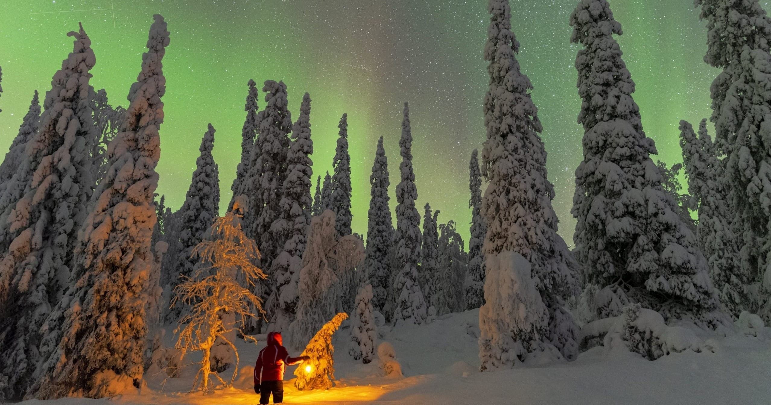 Magic of the Northern Lights | Northern Lights Tour in Rovaniemi,, Lapland