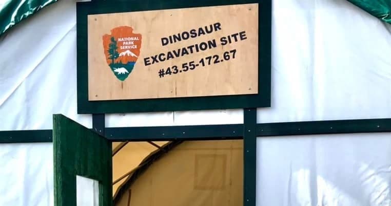 Christchurch Dino Dig: 60-Minute Family Fossil Excavation at Dino Dig Site 1