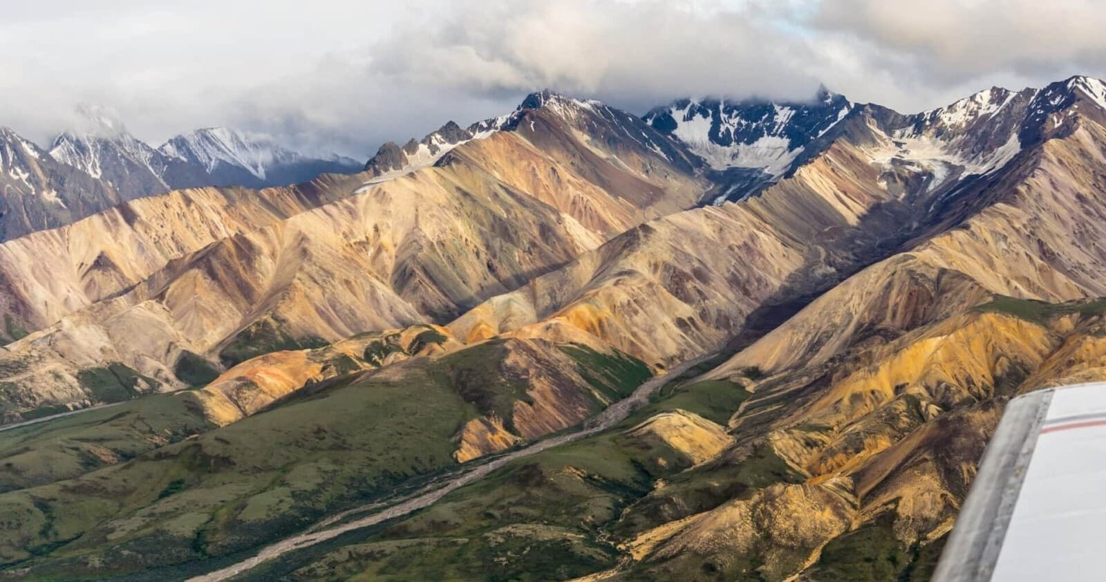 Denali Park Adventures fleet