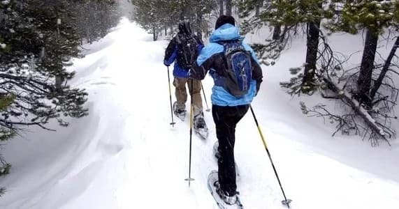 Explore Estes Park's Winter Wilderness on a Guided Snowshoe Adventure