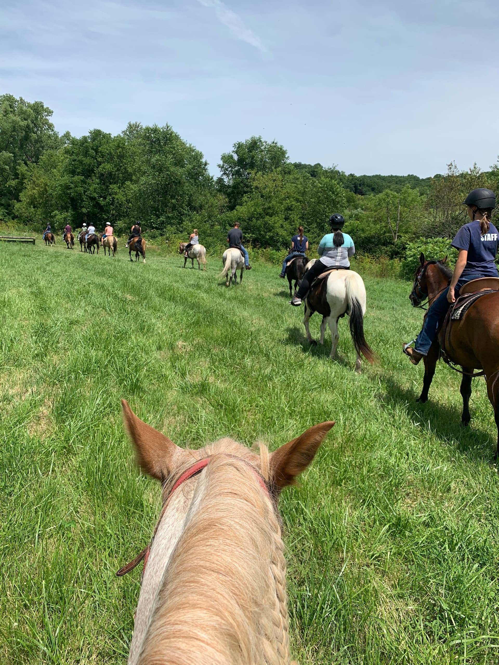 Shenandoah Riding Center fleet