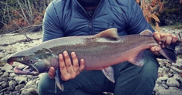Wildlife & Water: Full Day Salmon Adventure in Squamish