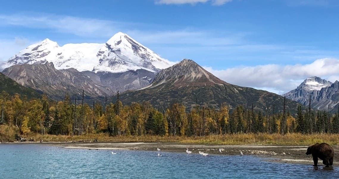 Half Day Dolly Varden Fishing Adventure on Alaska’s Kenai River