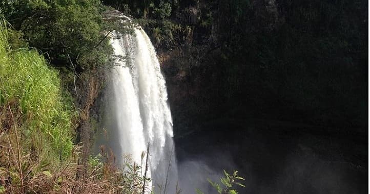 Waimea Canyon Hiking & Sightseeing Tour in Kauai