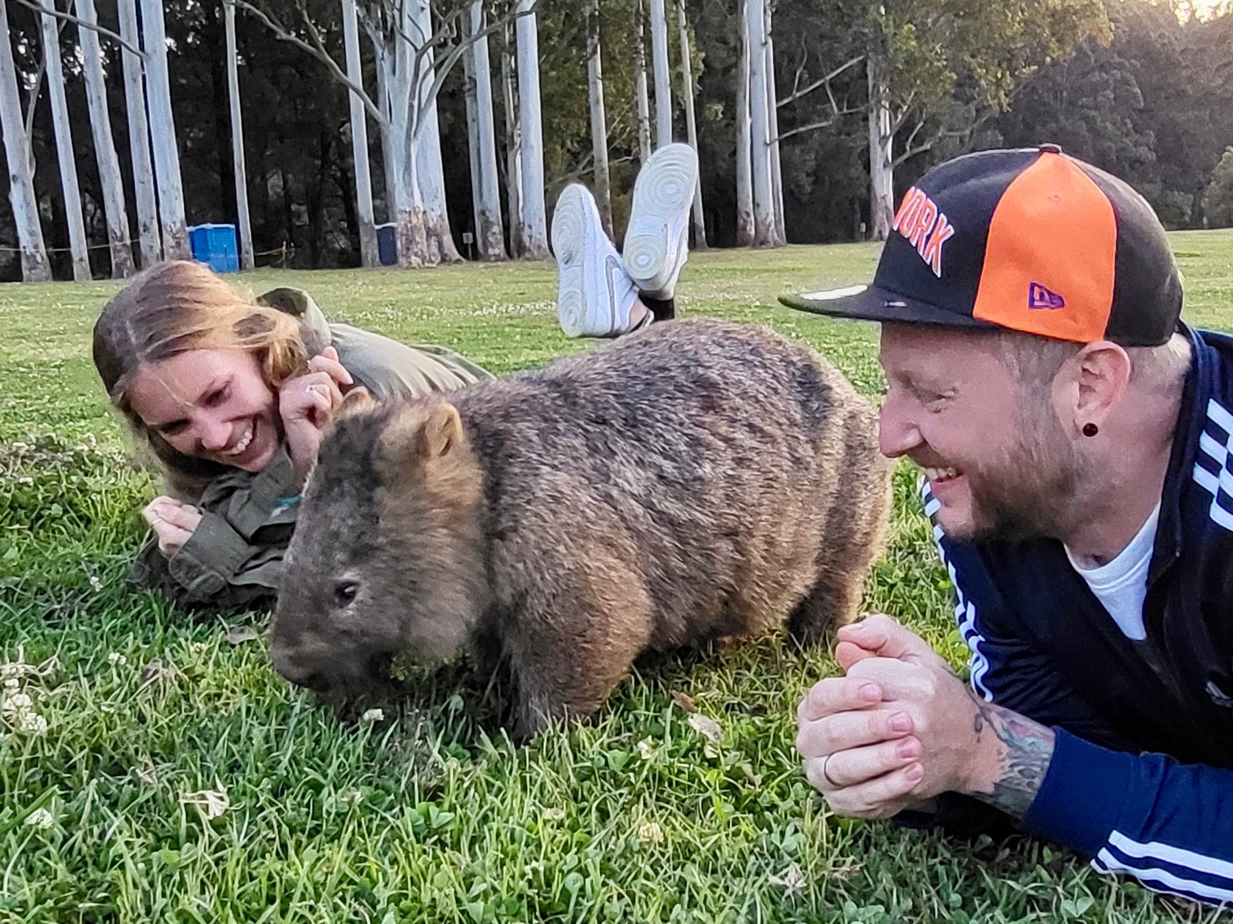 Wild Wombat & Kangaroo Day Tour with Perfect Day Sydney