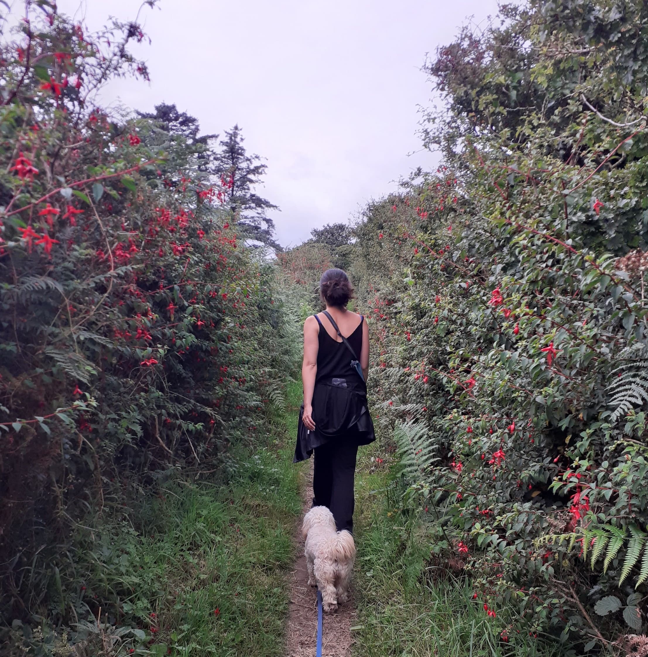 Land Adventure: Courtmacsherry Coastal Hike on Wild Atlantic Way