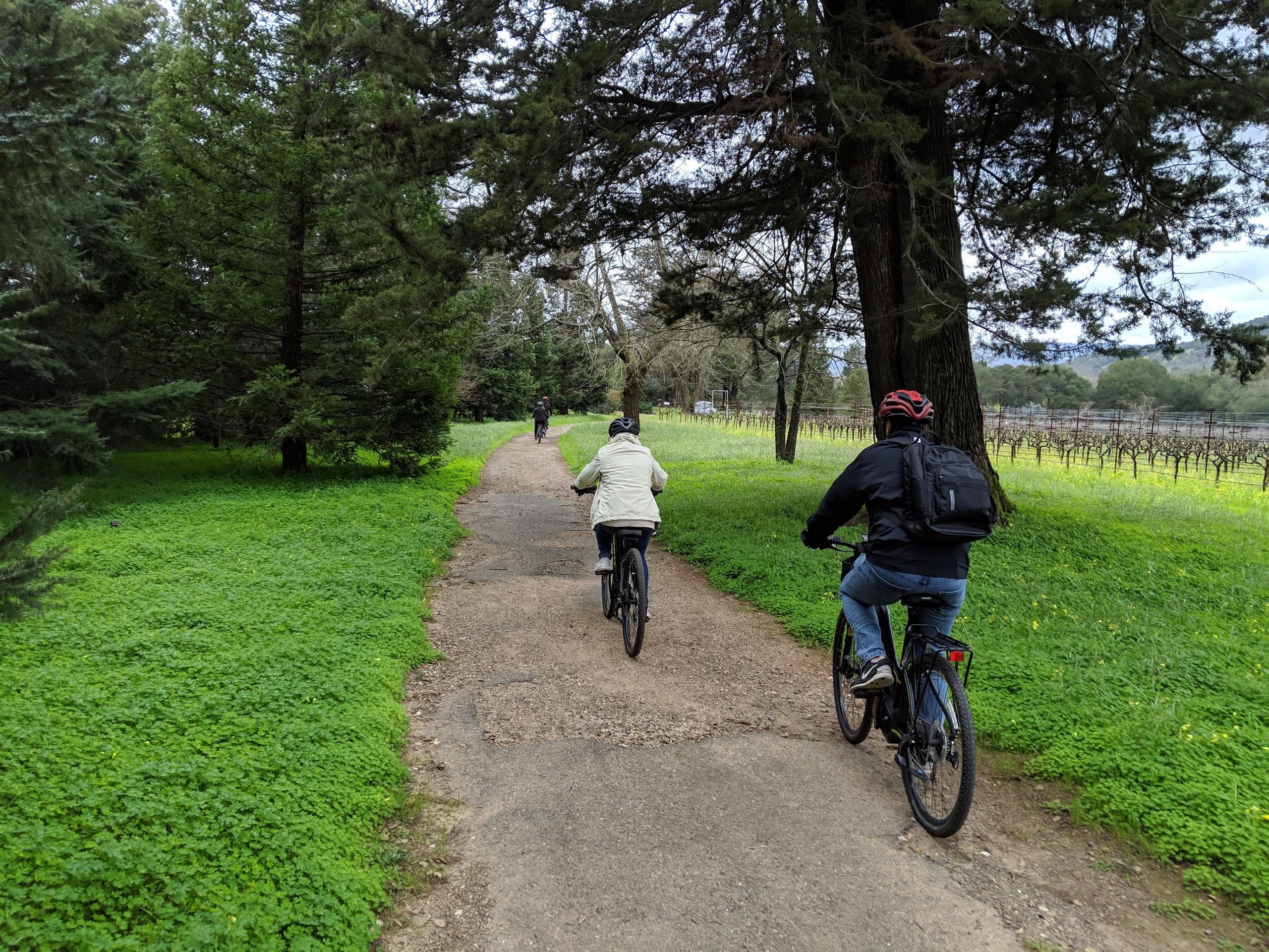 The Tastes of Sonoma Bike Tour