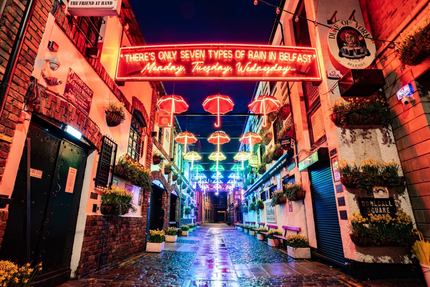 Belfast Titanic Tour and Tipple with Wee Tours NI