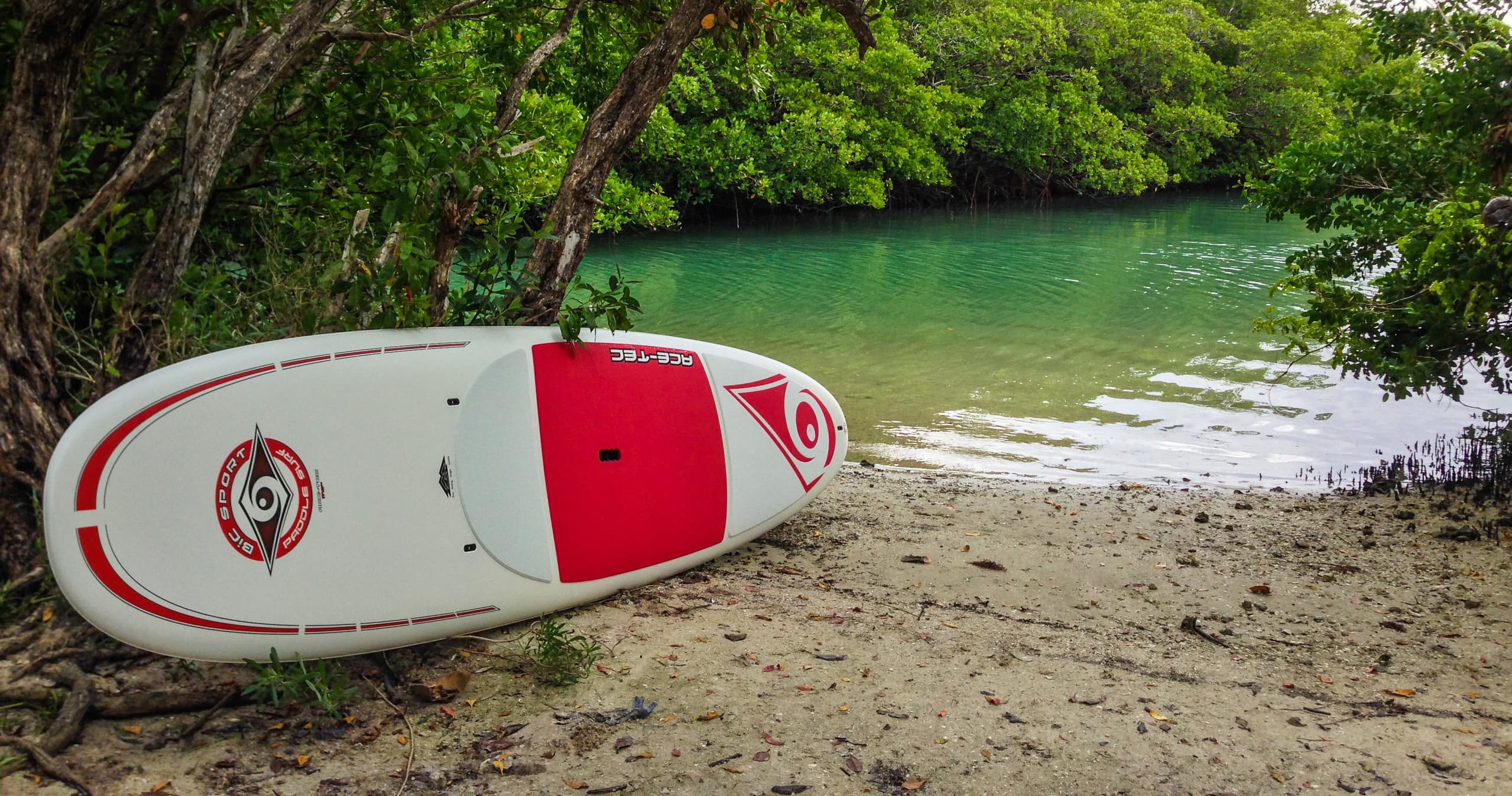 Paddleboard Adventures at Fort Myers Beach with Paddle Naples