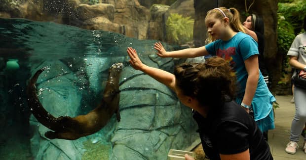 Wildlife & Bird Tours at Downtown Aquarium Denver photo 2