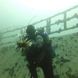 Re-activate/Refresher Scuba Course in Fort Walton Beach — 2-Day Scuba Refresher to Regain Confidence