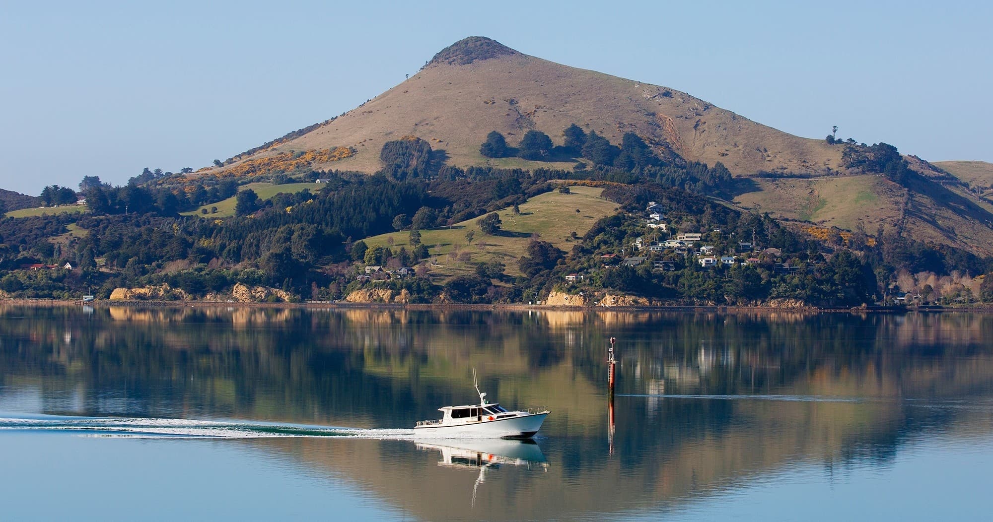Wildlife Cruises in Dunedin with Monarch Wildlife Tours