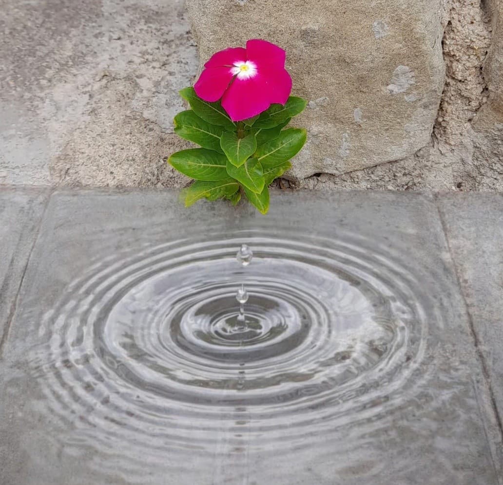 Riutals del viure: Sensory Rituals and Slow Practice in Vic, Catalunya photo 1