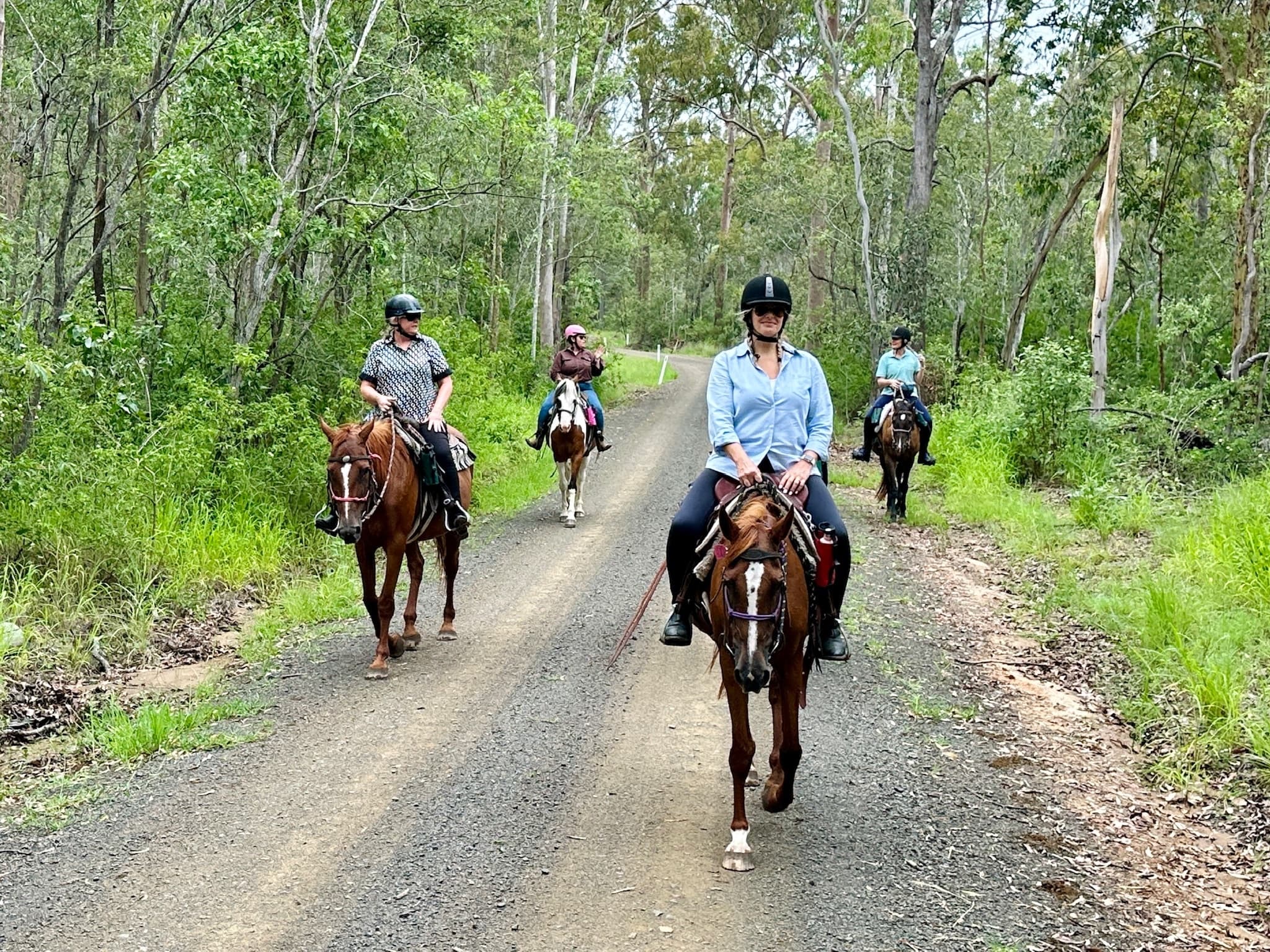 Forest trail horseback riding on scenic dirt track