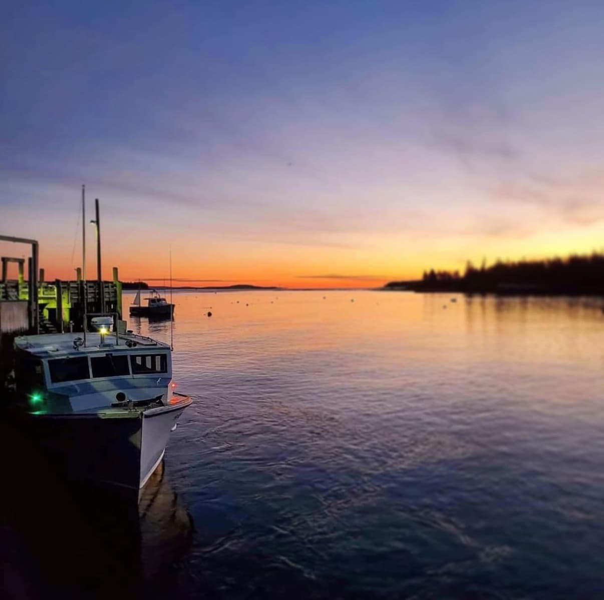 Water Activities with Beal & Bunker Ferry in Maine's Cranberry Isles