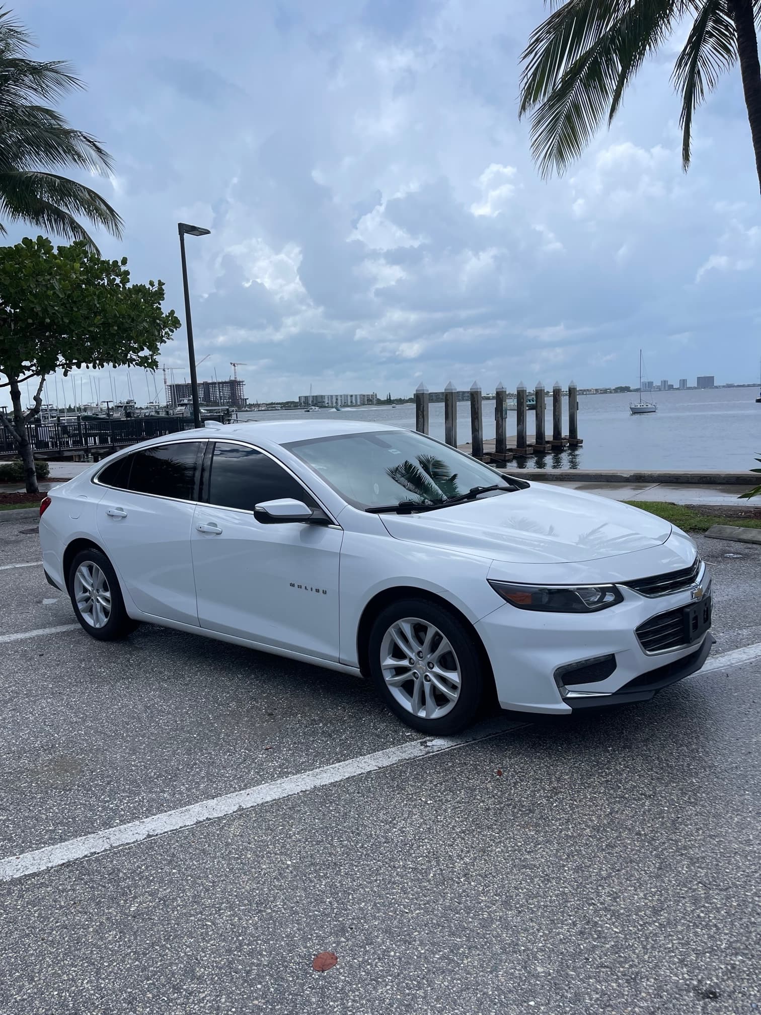 Thrilling White Chevy Malibu Drives in West Palm Beach
