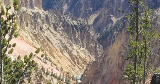 Private Yellowstone Lower Loop Tour from Jackson Hole to Old Faithful and Grand Prismatic photo 1